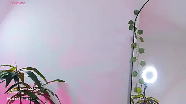 sushiboxxx webcam