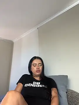 Samispank webcam