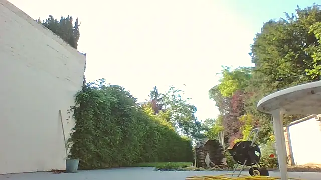 bertolini webcam