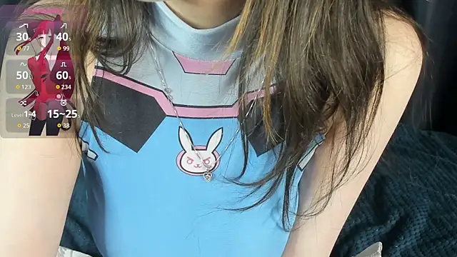 DanasWhisper webcam