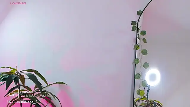 sushiboxxx webcam