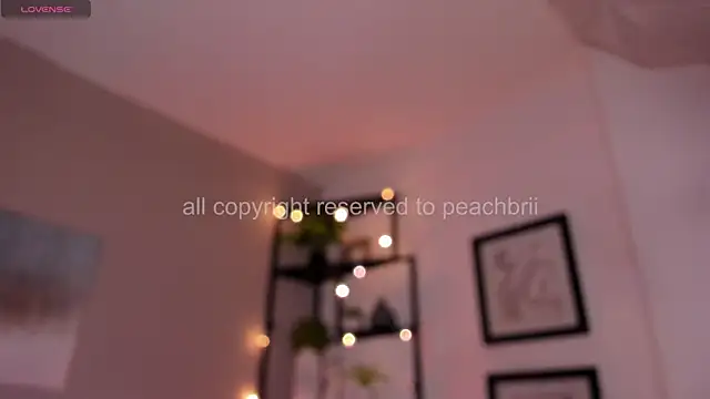 PechBri webcam