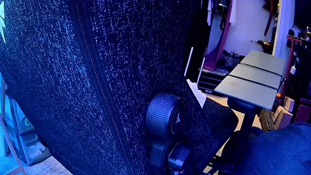 famousALYX webcam