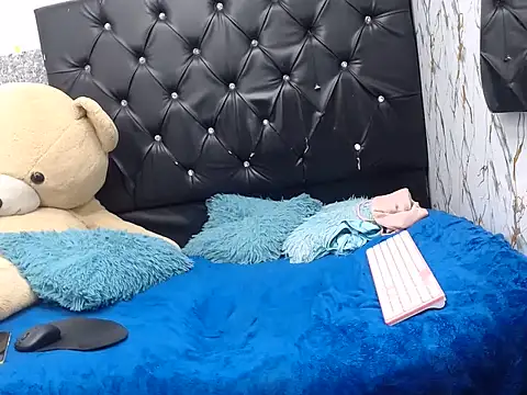 isa_x18 webcam