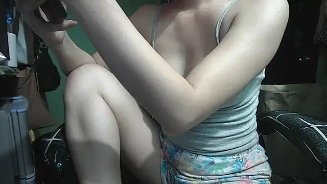 shiesmith webcam