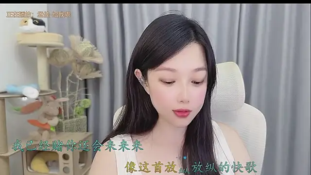 facai-feifei webcam