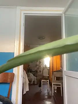 Frosl webcam