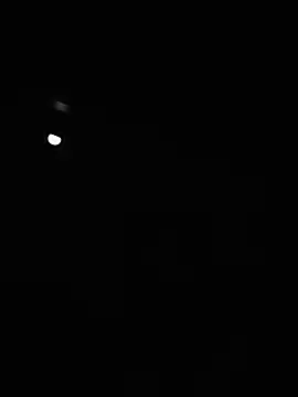 shandy__ webcam
