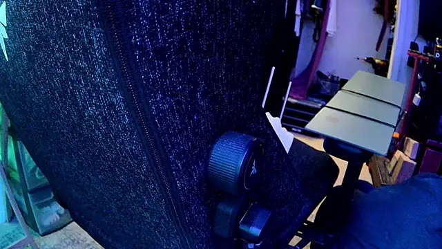 famousALYX webcam
