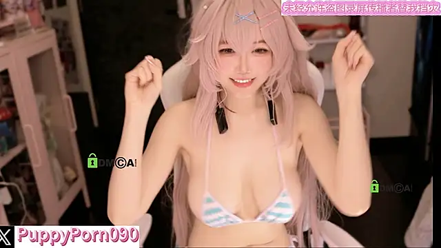 nide_xiaogou webcam