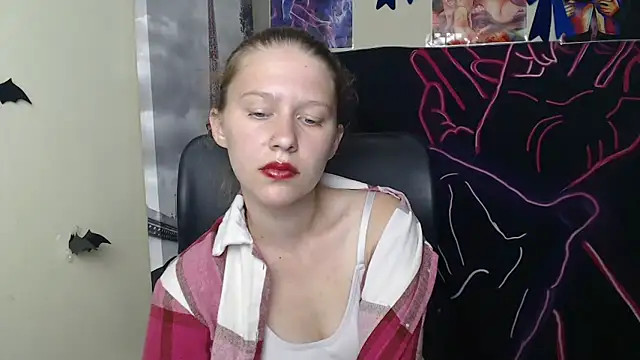 StellaCRL webcam