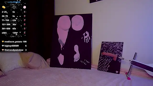 mary_lunar webcam