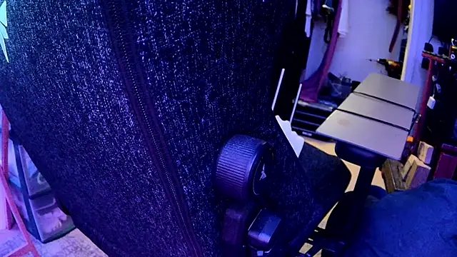 famousALYX webcam