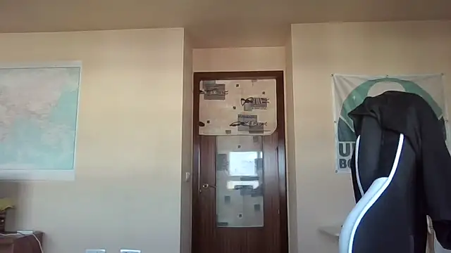 llopaco webcam