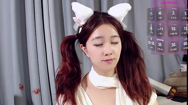 XueLi1902 webcam