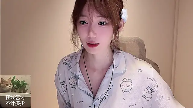 Ruuunn webcam