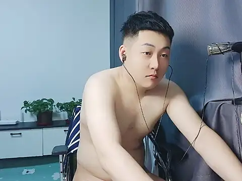 Llpl322 webcam
