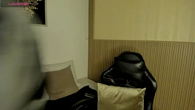 summer_night_ webcam