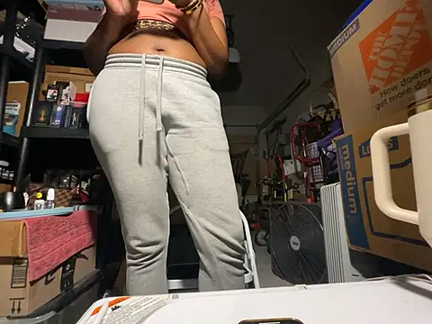 wynterheat webcam