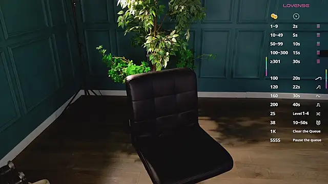 hidden_charm_ webcam