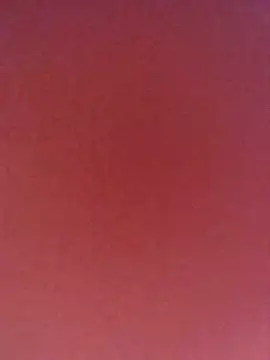 MIA-LARIOS webcam