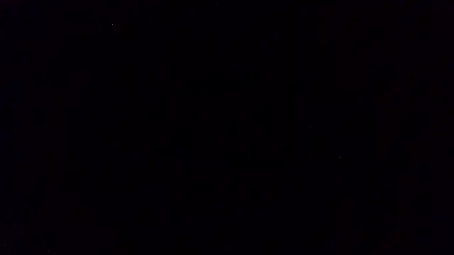 pinkycat webcam