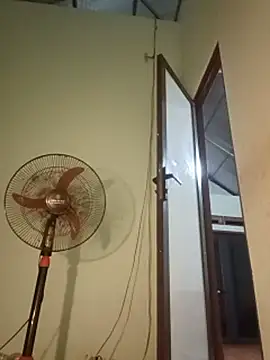 Pivi12 webcam