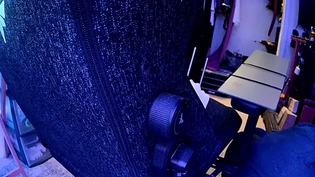 famousALYX webcam