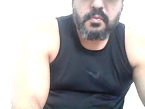 stallony webcam