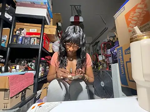 wynterheat webcam