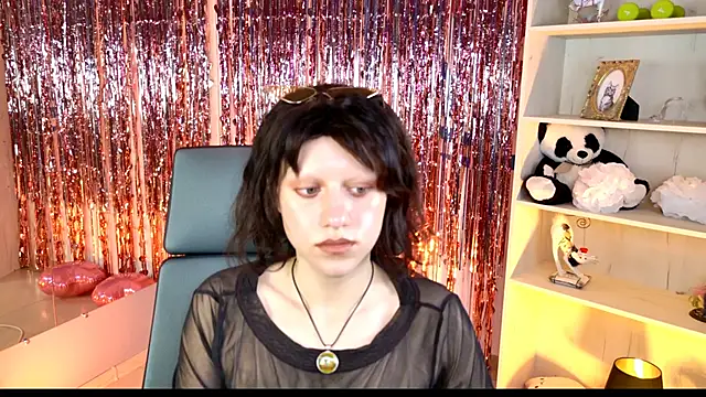 LidaDarknet webcam