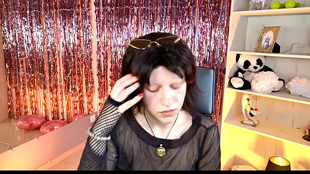 LidaDarknet webcam