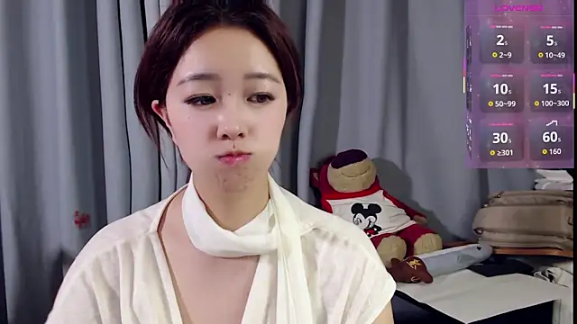 XueLi1902 webcam