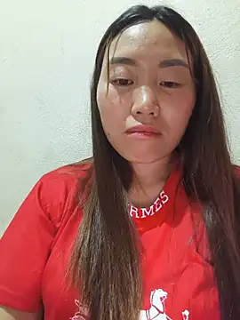 he-se-kin webcam