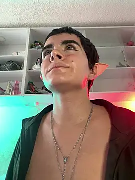 PinkyFairy_ webcam