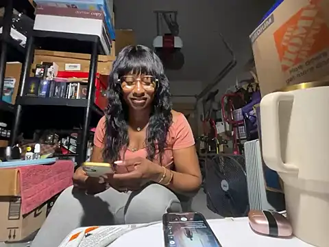 wynterheat webcam