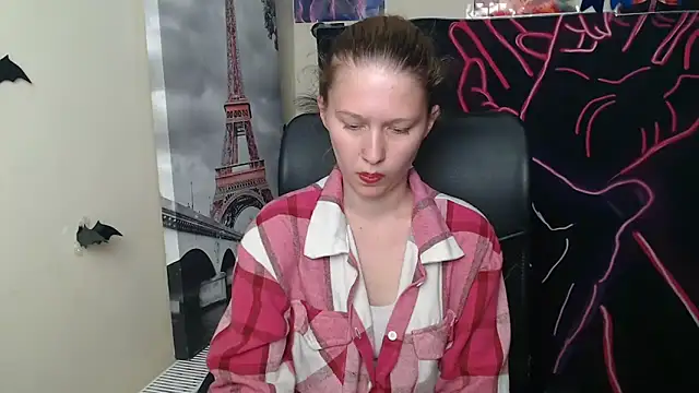StellaCRL webcam