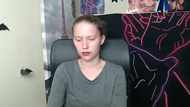 StellaCRL webcam