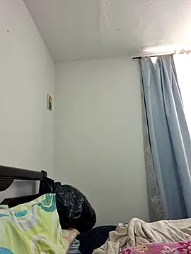 IrisBound webcam