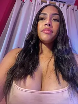 MaverickGray webcam