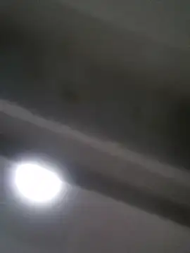 Thaps_deDick webcam
