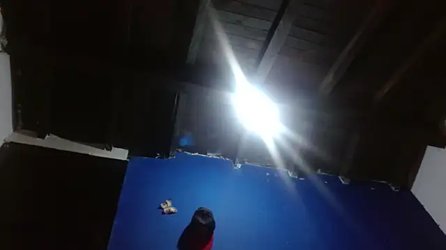 sk8-sir webcam