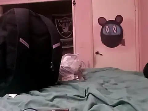 Blkstylion webcam