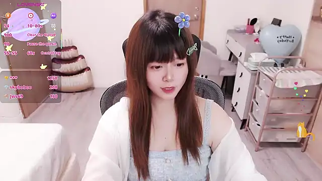 a0513 webcam