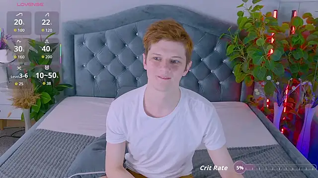 Allert_ webcam
