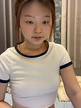 DMG-41 webcam
