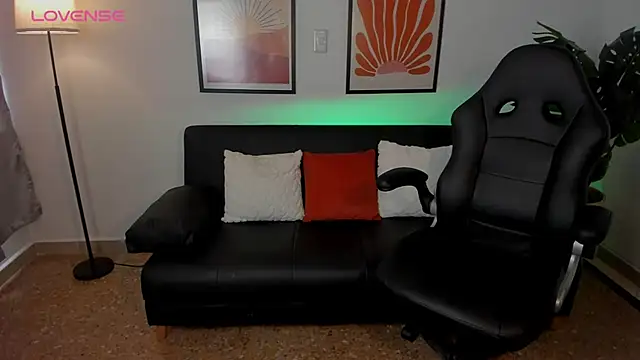 nova_silk webcam