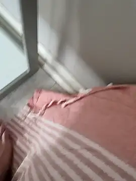guiss3 webcam