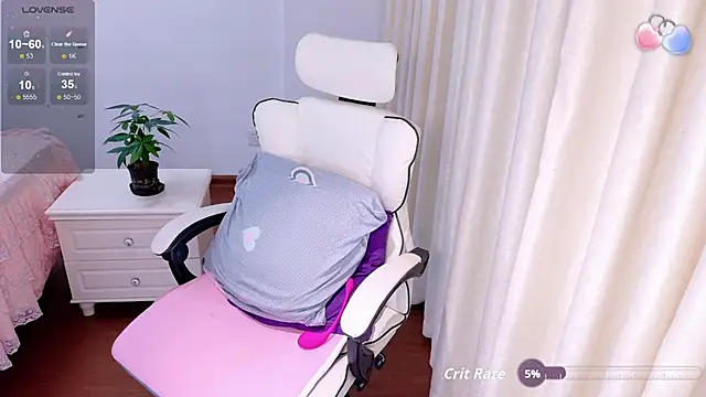 Sunny-cc webcam