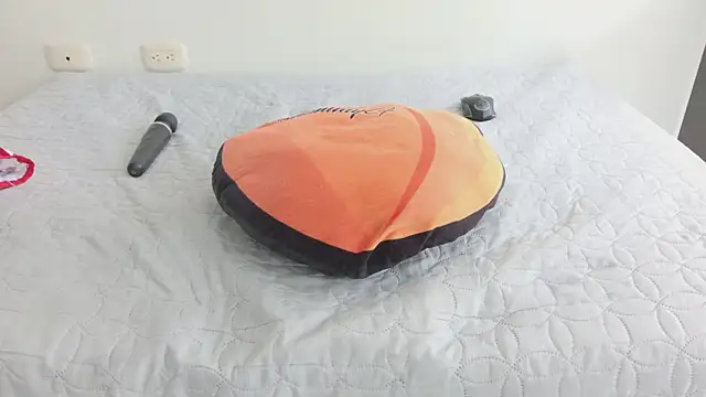 grey___27 webcam